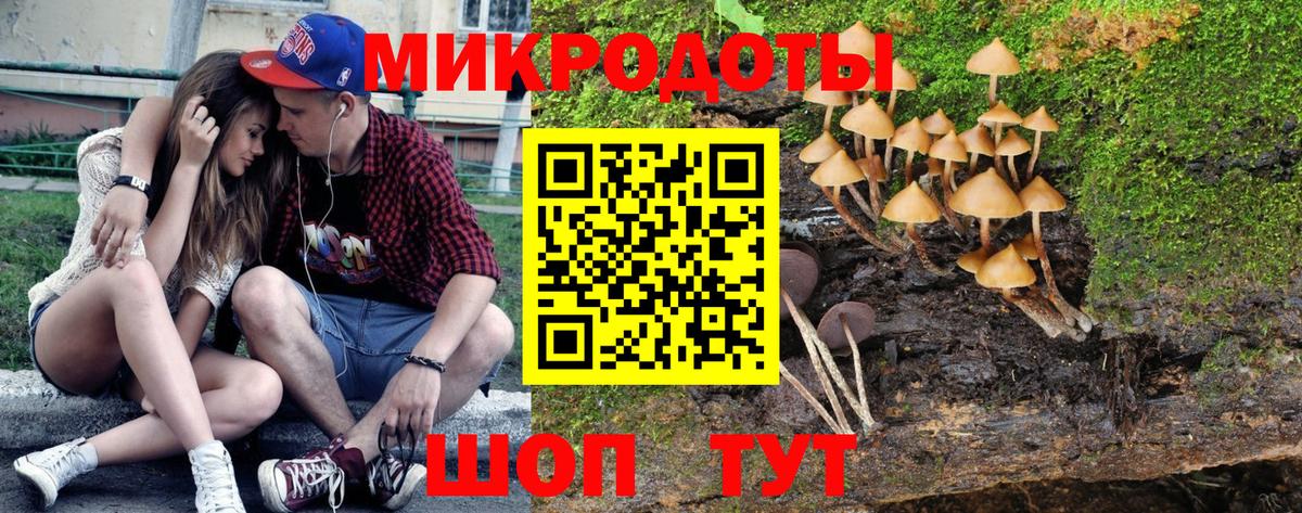 Владивосток  Галлюциногенные грибы GOLDEN TEACHER  закладки  Вход с VPN 