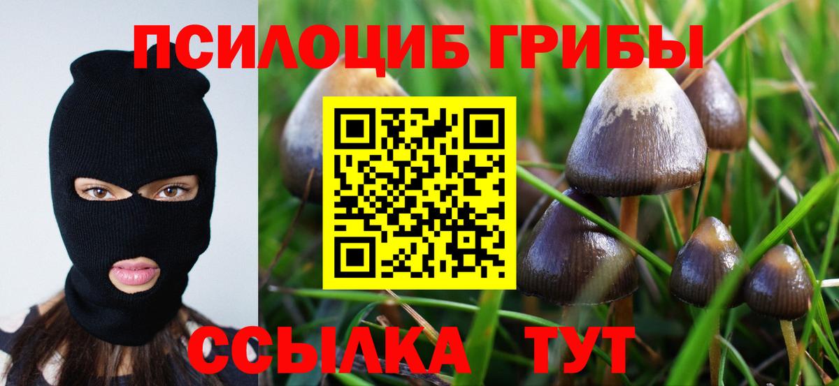 Галлюциногенные грибы Cubensis Владивосток